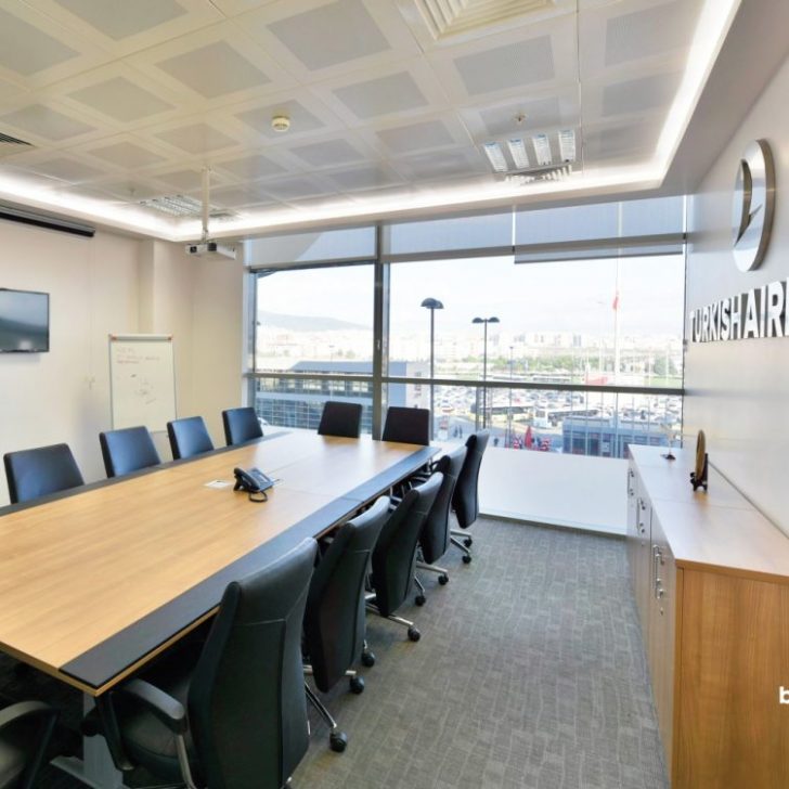 thysabiha02-1073×751